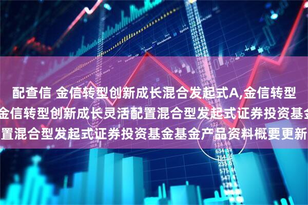 配查信 金信转型创新成长混合发起式A,金信转型创新成长混合发起式C: 金信转型创新成长灵活配置混合型发起式证券投资基金基金产品资料概要更新