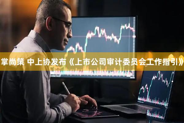 掌尚策 中上协发布《上市公司审计委员会工作指引》